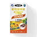 A77 3.webp